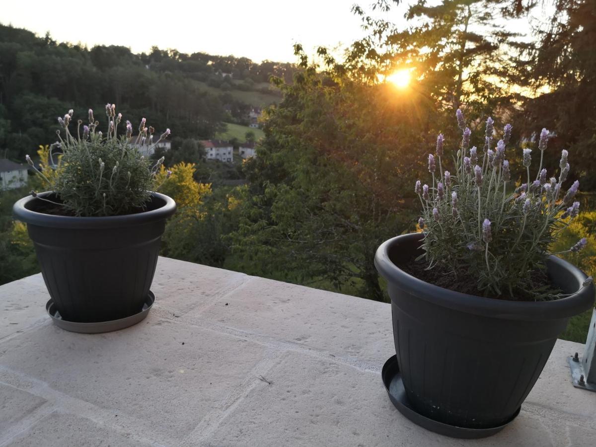 Meublee Avec Vue Panoramique A Perigueux * Sanilhac (Dordogne)